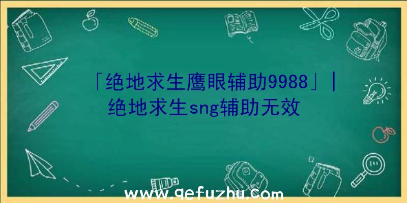 「绝地求生鹰眼辅助9988」|绝地求生sng辅助无效